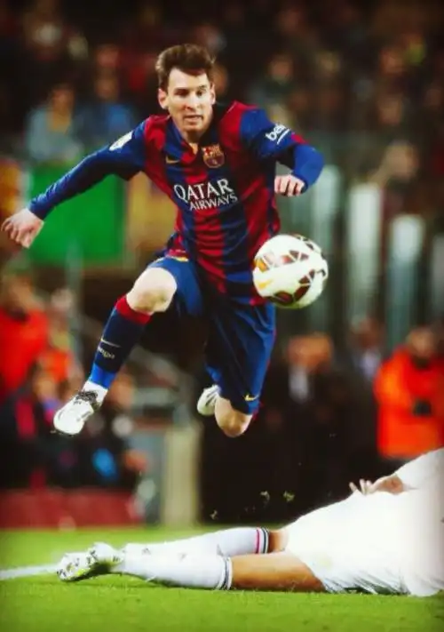 柔南虎两队 柔南虎两队